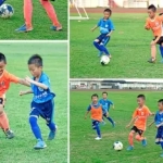 福州专业乒乓球培训提供乒乓球培训服务