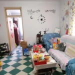 曙光的房子，25 号楼，楼层好，房屋南北通透，户型不错