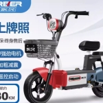 2024 年新款的永久电动车，新国标成人电瓶车，能上牌，男女士小型电动自行车款式