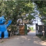 这里能够开展种植、养殖活动，也可用于办公，并且院内栽有果树