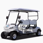 定制款 2 - 10 座电动高尔夫球车及观光车，四轮电瓶车，用于旅游景区摆渡、楼盘看房