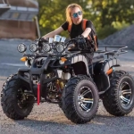 宗申沙滩车，四轮越野，包括大小公牛摩托车款。具备 ATV 四驱，适应山地地形，采用轴传动，是一款游乐全地形车