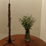 邯郸艺术培训·邯郸市双簧管、萨克斯乐器教学