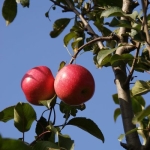 发现宝藏！这个三方运营信息免费发布太牛了！