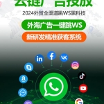 全球精准引流，助力您的业务迈向新高峰！ 