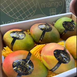 攀枝花凯特芒果，中秋的甜蜜馈赠