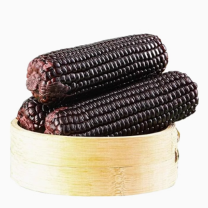 东北黑糯玉米，自然馈赠的健康美味