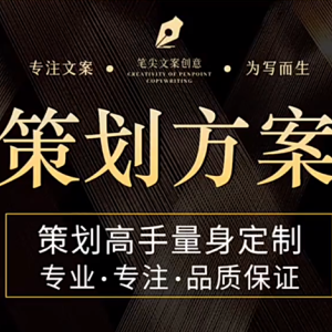 专业策划，铸就非凡——市场营销与活动方案设计专家