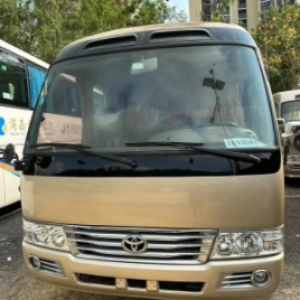 丰田考斯特 2007 年款，4.2T 手动柴油型，30 座或者 20 座，配备原装外摆门