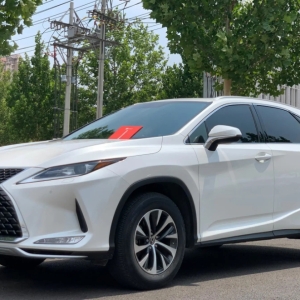 2020 款雷克萨斯 RX 改款车型，300 系列两驱精英版，魅力呈现