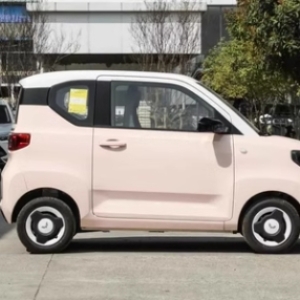 新车为五菱宏光 MINI EV 马卡龙臻享款，搭载三元锂电池，现位于肇庆