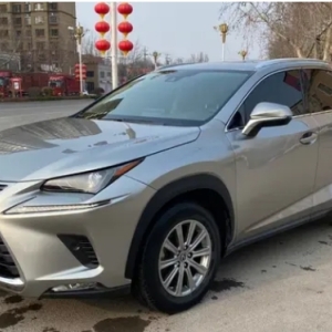 雷克萨斯 NX 2020 款 300h 前驱锋尚版，满足国 VI 排放标准