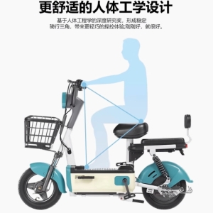 2024 新款新国标电动车闪亮登场，专为成人设计，无论是男生还是女士皆可驾驭