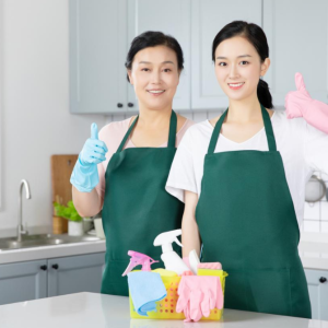 家政服务业的发展现状与展望