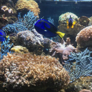 海洋伏季休渔，为渔业资源撑起保护伞