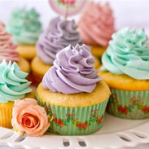 加盟信息应该怎么找到？