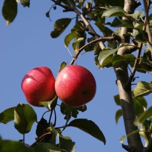 发现宝藏！这个三方运营信息免费发布太牛了！