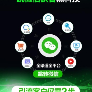 全球化营销新机遇：智能社交媒体获客系统，助您突破流量瓶颈