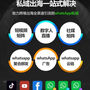  易流客全球获客系统：数字化时代的智能客户获取新引擎