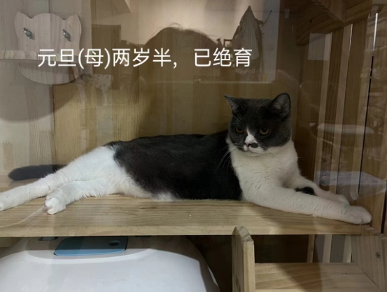 微信截图_20240716084040.png